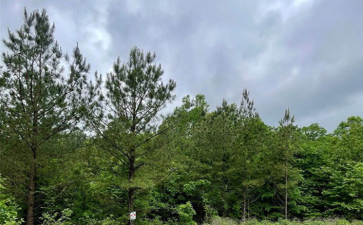 Pictures of Land property located at 656 Timber Creek Trails South Xl, Broken Bow, OK 74728 for sales - image #1