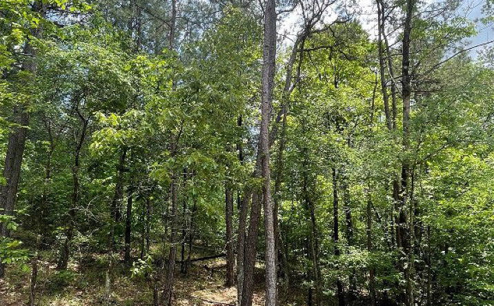 Pictures of Land property located at 687 Timber Creek Trails South Xl, Broken Bow, OK 74728 for sales - image #1