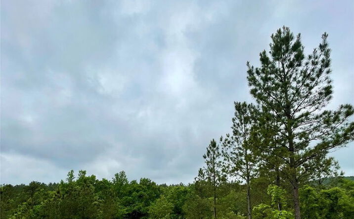 Pictures of Land property located at 673 Timber Creek Trails South Xl, Broken Bow, OK 74728 for sales - image #1