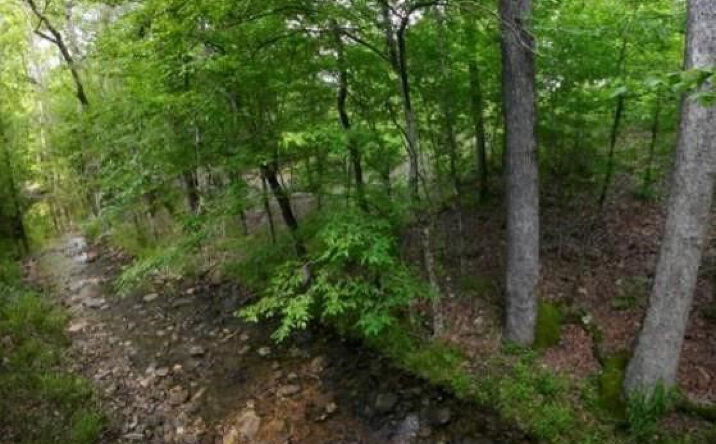 Pictures of Land property located at 118 Hidden Pnes Lp, Broken Bow, OK 74728 for sales - image #1