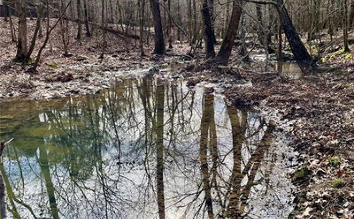 Pictures of Land property located at 750 Timber Creek Trails South Xl, Broken Bow, OK 74728 for sales - image #1