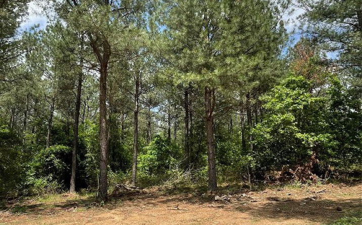 Pictures of Land property located at 698 Timber Creek Trails South Xl, Broken Bow, OK 74728 for sales - image #1