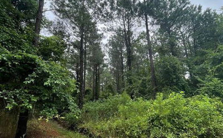 Pictures of Land property located at 18 Cedar Hls Trl, Broken Bow, OK 74728 for sales - image #1