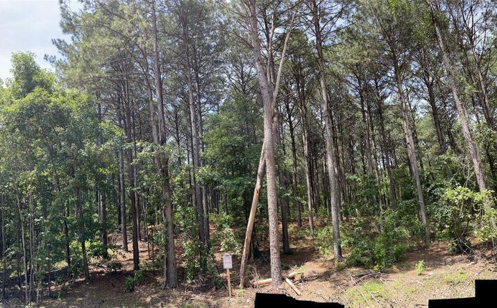 Pictures of Land property located at 35 Pine St, Broken Bow, OK 74728 for sales - image #1
