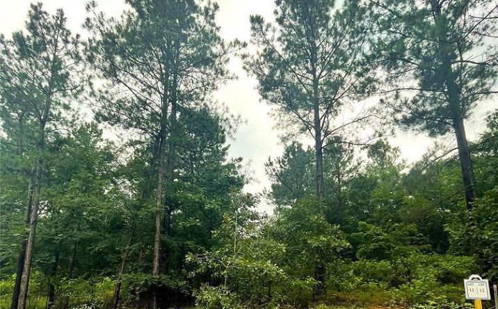 Pictures of Land property located at Upper Vista Ridge Trail #H, Broken Bow, OK 74728 for sales - image #1