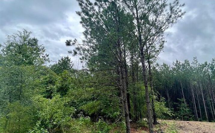 Pictures of Land property located at Cedar Hills Lakes #J, Broken Bow, OK 74728 for sales - image #1