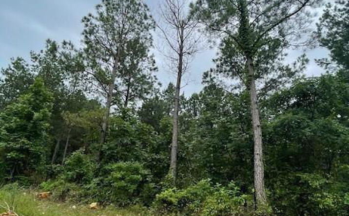 Pictures of Land property located at Cedar Hills Lakes #K, Broken Bow, OK 74728 for sales - image #1