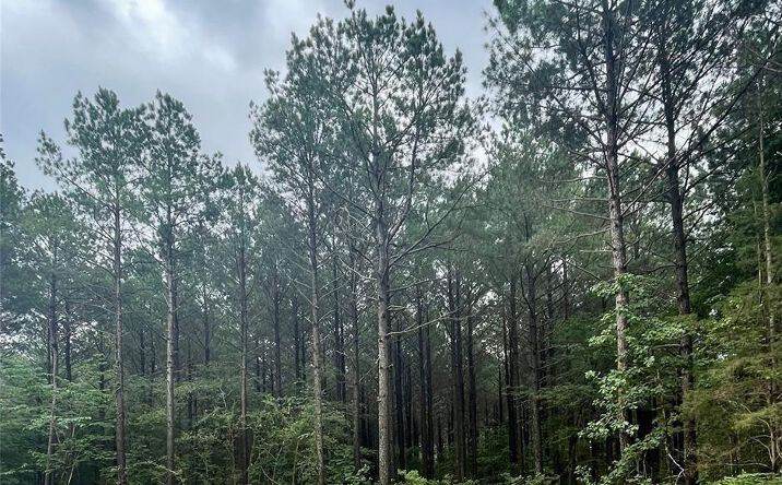 Pictures of Land property located at 27 Upper Vista Ridge Trail, Broken Bow, OK 74728 for sales - image #1