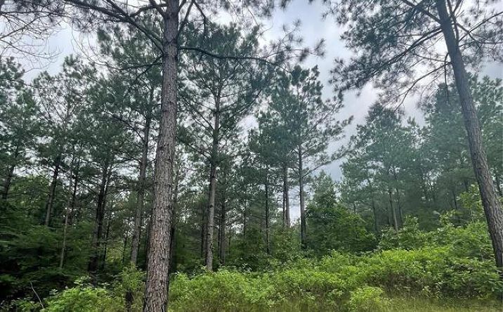Pictures of Land property located at 45 Lost Bullpine Lane, Broken Bow, OK 74728 for sales - image #1