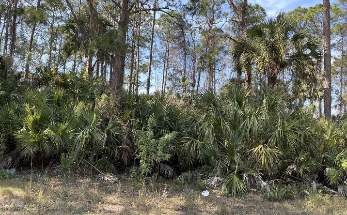 Pictures of Land property located at 747 Scott Avenue SW, Palm Bay, FL 32908 for sales - image #1