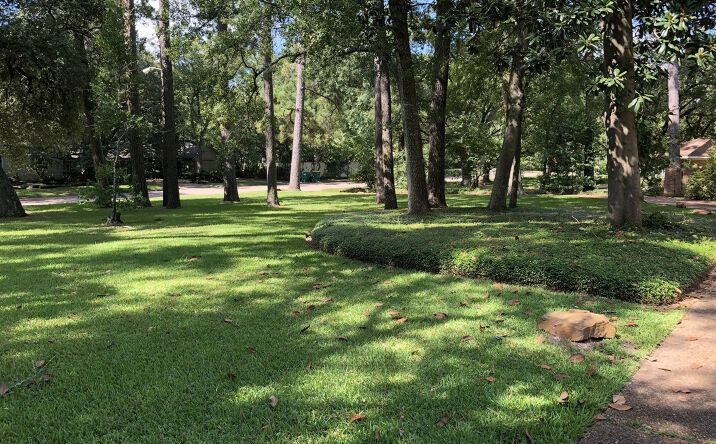 Pictures of Industrial property located at 204 W Dallas St, Conroe, TX 77301 for sales - image #1