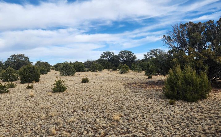Pictures of Land property located at TBD Pinon Heights Road, Quemado, NM 87829 for sales - image #1
