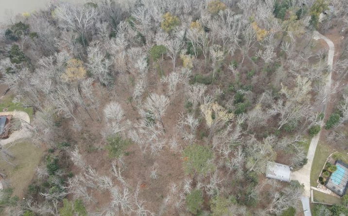 Pictures of Land property located at 000 Buster Club Rd Lot 17, Lot 18, Bainbridge, GA 39819 for sales - image #1