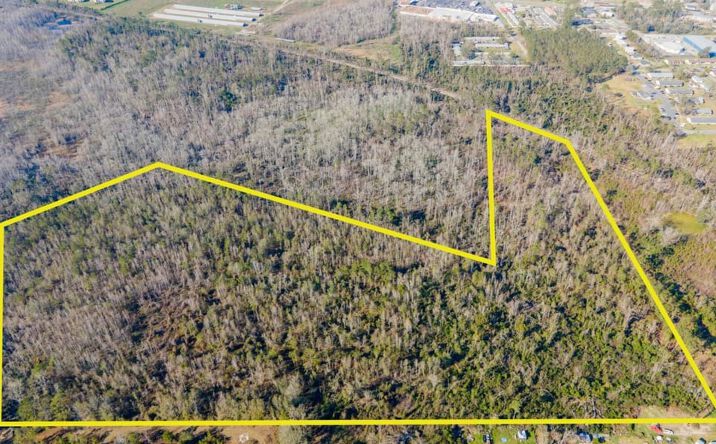 Pictures of Land property located at Vacant SW Jeanette Circle, Madison, FL 32340 for sales - image #1