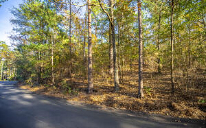 Pictures of Land property located at 0 Forest Hill & East Rollingwood, Aiken, SC 29801 for sales - image #1