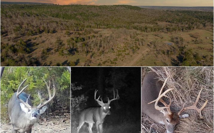 Pictures of Land property located at Miller-Moyers Road, Moyers, OK 74557 for sales - image #1