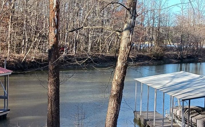 Pictures of Land property located at 0 Elgin Road, Camden, TN 38320 for sales - image #1