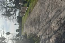 22467137