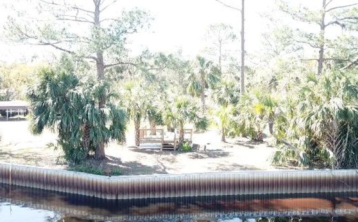 Pictures of Land property located at 85 SE 217th St, Suwannee, FL 32692 for sales - image #1