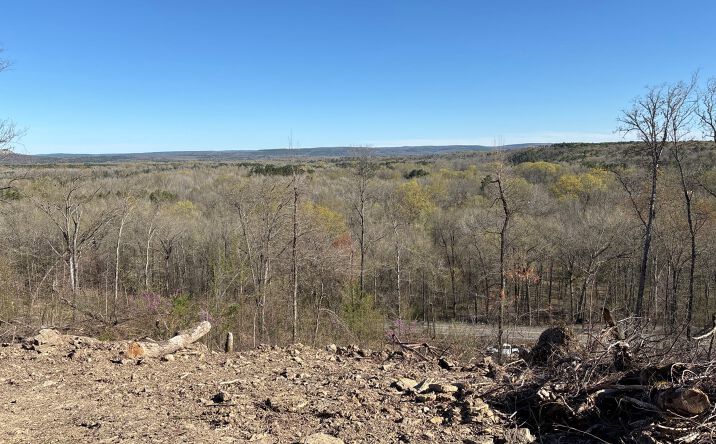 Pictures of Land property located at 000 Libby Road, Heber Springs, USA 72543 for sales - image #1