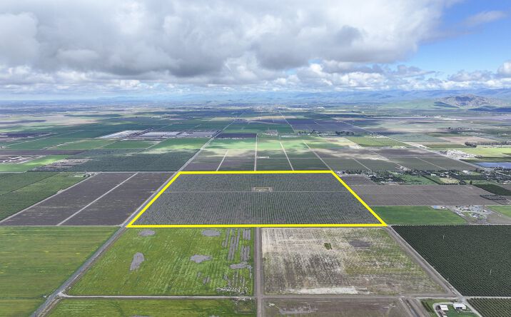 Pictures of Land property located at 18995 Ave 232, Lindsay, CA 93247 for sales - image #1