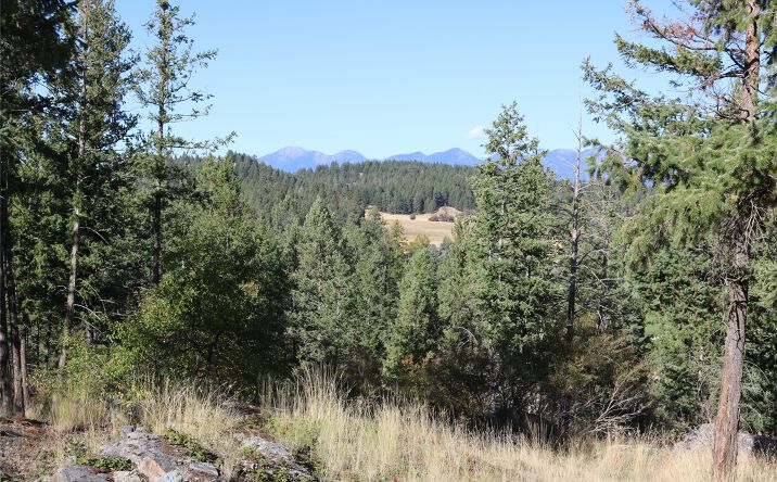 Pictures of Land property located at 175 Aerie Place, Bigfork, MT 59911 for sales - image #1
