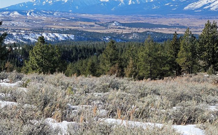 Pictures of Land property located at Lot A and B Sapphire Ranch Trail, Corvallis, MT 59828 for sales - image #1