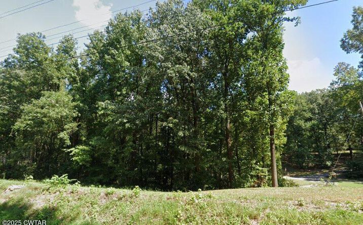 Pictures of Land property located at 0 Asbury Road, Ripley, TN 38063 for sales - image #1