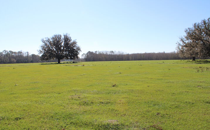 Pictures of Land property located at 7014 Calvin Lee Road, Groveland, FL 34736 for sales - image #1