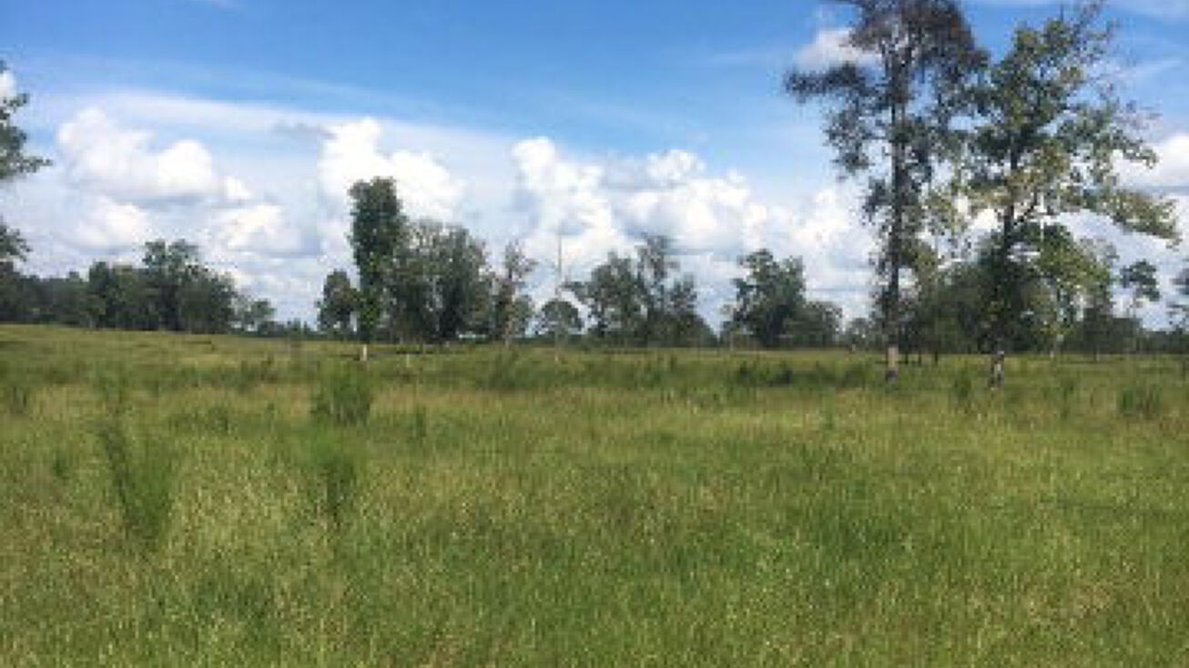 276 Firetower Enigma, Enigma, GA 31749