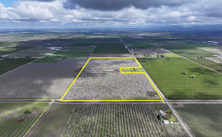 Pictures of Land property located at Rd 180, Strathmore, CA 93267 for sales - image #1