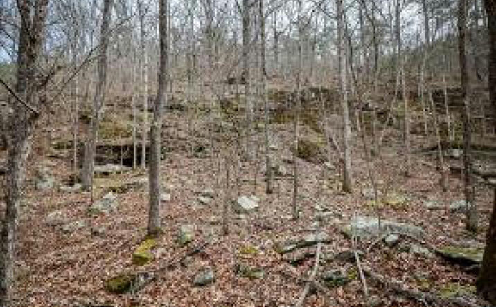 Pictures of Land property located at Tbd  Angora Mountain Rd, Clinton, AR 72031 for sales - image #1