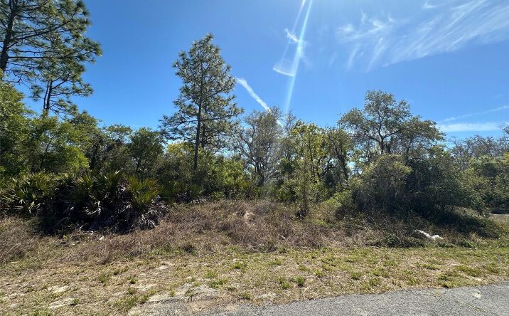 Pictures of Land property located at 419 Maitland Court, Kissimmee, FL 34759 for sales - image #1