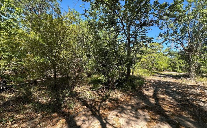 Pictures of Land property located at 268 Spoonbill Drive, Kissimmee, FL 34759 for sales - image #1