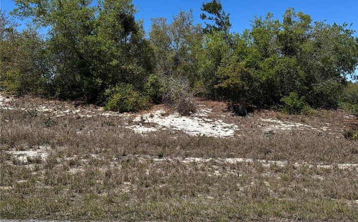 Pictures of Land property located at 1386 Homosassa Drive, Kissimmee, FL 34759 for sales - image #1