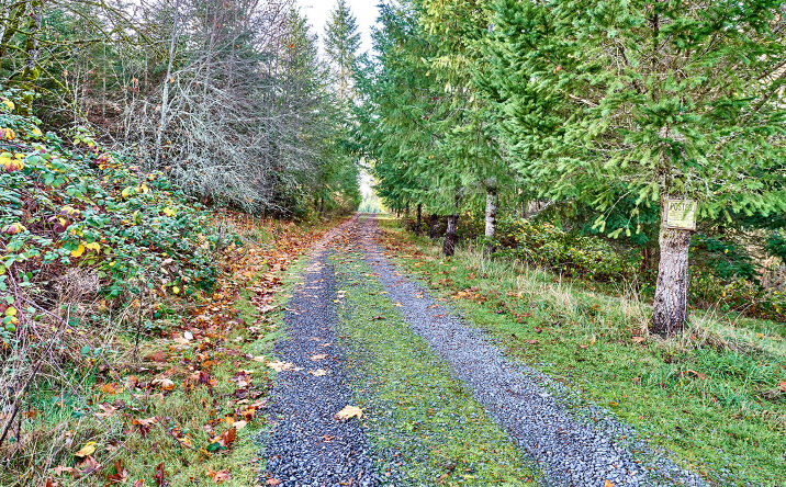 image of property at 35517 S AQUA SPRINGS RD Molalla OR 97038-7407