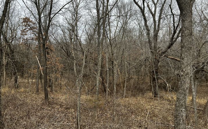 Pictures of Land property located at Northeast of Albany, Albany, MO 64402 for sales - image #1