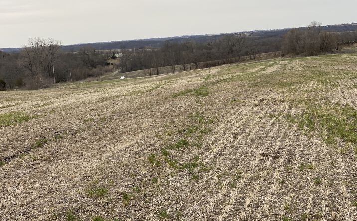 Pictures of Land property located at 37 Acres, Albany, MO 64402 for sales - image #1