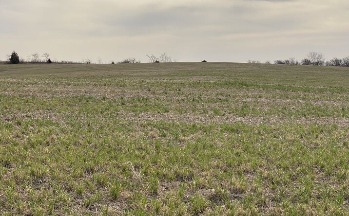 Pictures of Land property located at Northwest Missouri East of Ford City, Albany, MO 64402 for sales - image #1