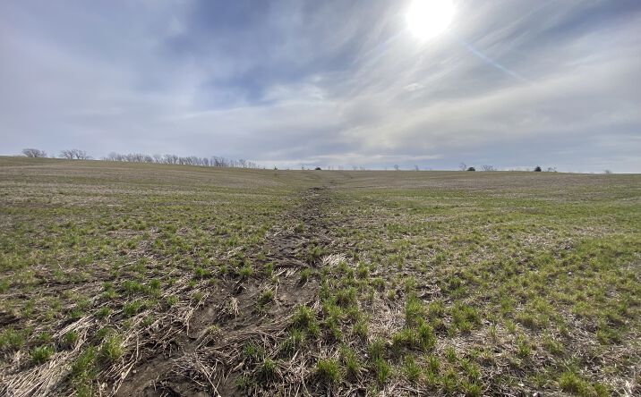 Pictures of Land property located at East of Ford City, King City, MO 64463 for sales - image #1