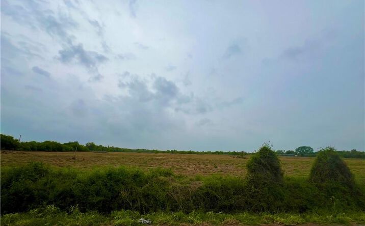 Pictures of Land property located at TBD W Mile 9 1/2 Road, Mission, TX 78573 for sales - image #1