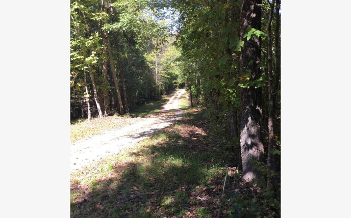 Pictures of Land property located at Terrell St., Mebane, NC 27302 for sales - image #1