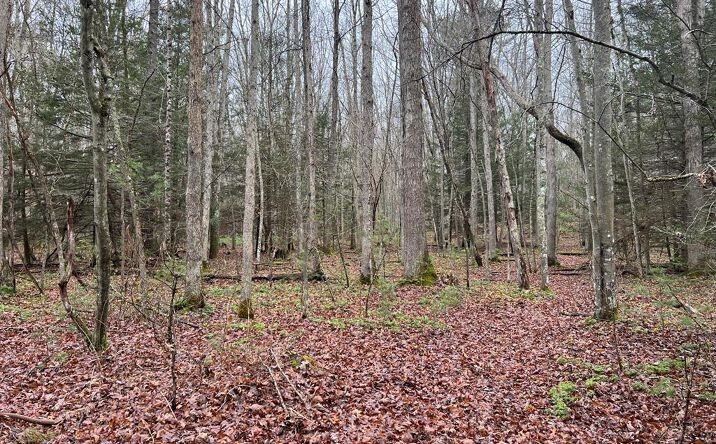image of property at 0 PLUTO ROAD Shady Spring WV 25918