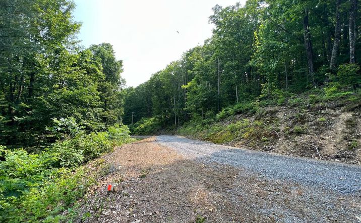 Pictures of Land property located at Lot 29 Katy Drive, White Sulphur Springs, WV 24986 for sales - image #1