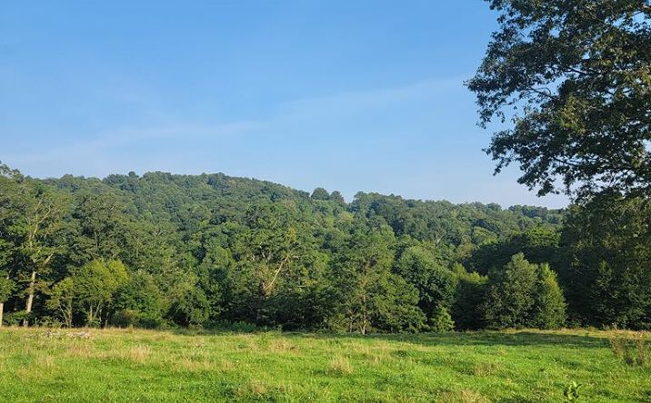Pictures of Land property located at 0 Quinnwood - Nutterville Road, Nallen, WV 26680 for sales - image #1