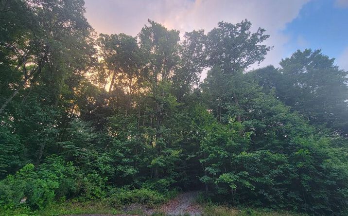 Pictures of Land, Multifamily property located at 0 Cranberry Pointe Way # 40, Beckley, WV 25801 for sales - image #1