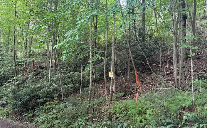 Pictures of Land property located at 0 Pump Street # 190, Fayetteville, WV 25840 for sales - image #1