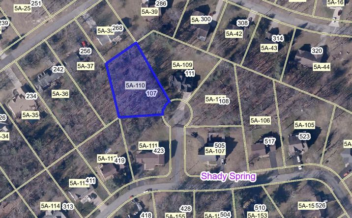 Pictures of Land property located at 107 Longwood Street, Beaver, WV 25813 for sales - image #1