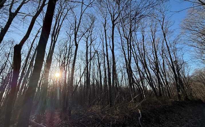 image of property at 0 TOMMY'S CREEK ROAD Odd WV 25902