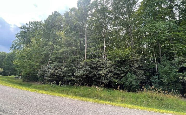 Pictures of Land property located at 142 Glenwood Way # 20, Daniels, WV 25832 for sales - image #1